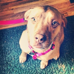 994701_10202783278734029_438399801_n